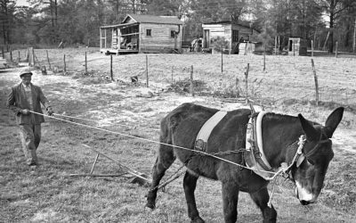Reparations 101: Repairing the damage from generations of concentrated disadvantage