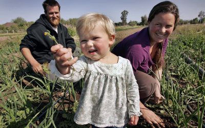 Family farms face an harsh future as young farmers struggle with health insurance and child care