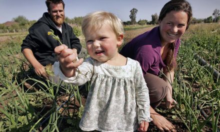 Family farms face an harsh future as young farmers struggle with health insurance and child care