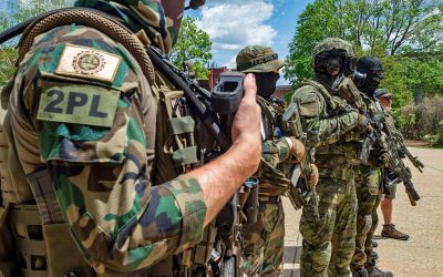 Avoiding mob rule: Why the Second Amendment does not protect vigilantes who masquerade as militia