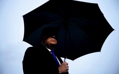 Trump’s Big Lie: Research shows the corrosive power of his unsubstantiated stolen election claims