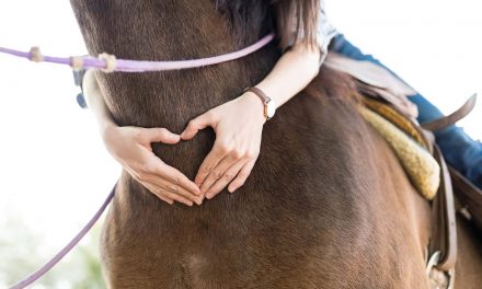 Philanthropic grant allows MKE Urban Stables to offer equine therapy programs to local community