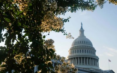 Financial Deadlines: Why the debt ceiling is being used as a tool to destroy a strong federal government