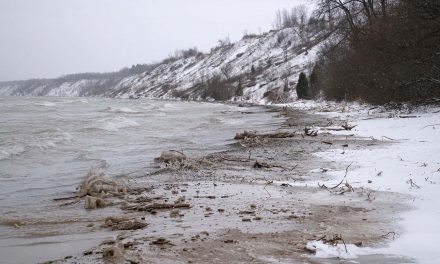 Freshwater Pollution: Each year Lake Michigan gets filled with more than 1M tons of winter salt