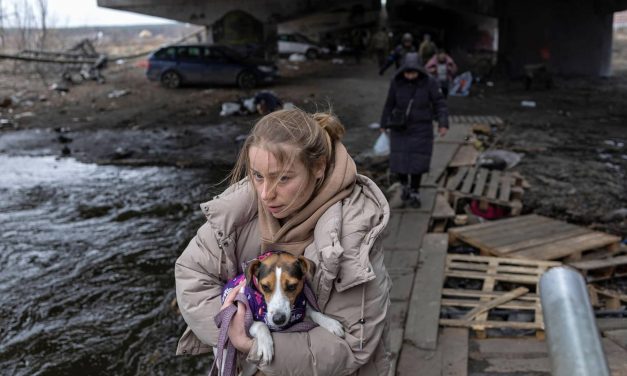 Saving lives in Irpin: Three volunteers share their stories of rescuing people and pets while under attack