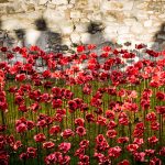 Eisenhower’s Vision: From Armistice Day to American volunteers fighting in Ukraine against tyranny