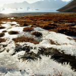 Zombie Virus: Scientists reanimate 50,000 year-old microbes released in thawing Siberian Permafrost