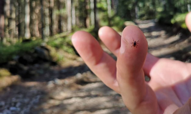 A parasitic industry: Understanding why America does not define healthcare as a basic human right