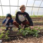The Queer family farm: LGBTQ farmers find fertile ground in Wisconsin despite social obstacles