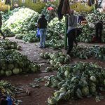 Developing countries can reduce hunger and slow climate change by using solar-powered refrigerators