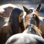Symbol of the Old West: New analysis finds horses came to North America by early 1600s