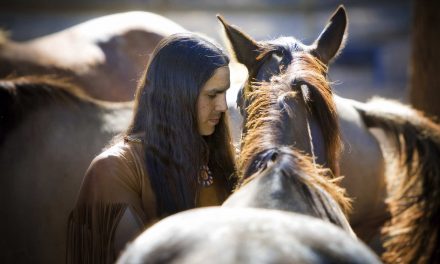 Symbol of the Old West: New analysis finds horses came to North America by early 1600s
