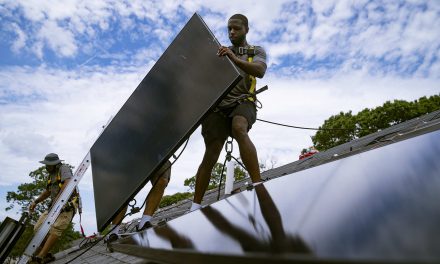 Federal government continues investments in alternative energy tech and solar power for renters