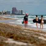 A biological hot spot: How the Atlantic Sargassum Belt is inundating coastlines with brown seaweed