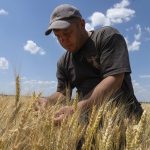 Russia seeks to escalate global hunger crisis with halt to deal allowing Ukraine grain exports