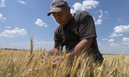 Russia seeks to escalate global hunger crisis with halt to deal allowing Ukraine grain exports