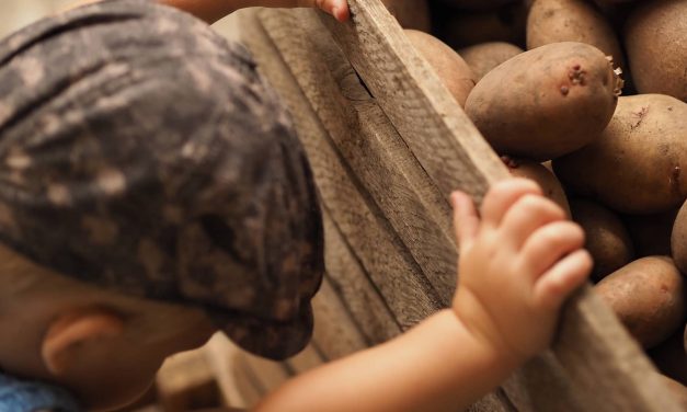 Abandoning Kids: Why Republican-dominated state legislatures are pushing to weaken child labor laws