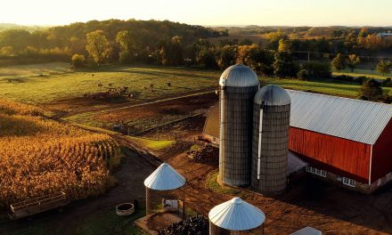 Wisconsin’s Catch-22: State dairy industry depends on undocumented immigrants who cannot legally drive