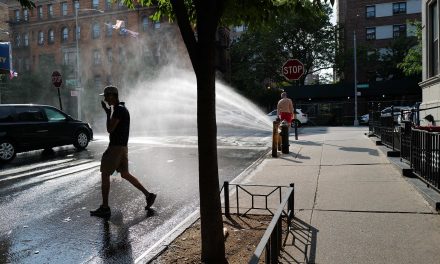 Dog days of summer: Meteorologists say 2023 was a global record breaker for highest heat ever measured