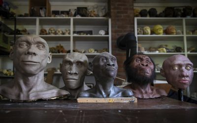 True humans: Science paints a new picture of mankind’s past when we mated with other ancient hominins