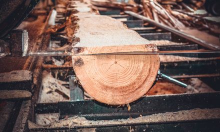 Amputation and death: Another Wisconsin lumber company is fined for violations of workplace safety