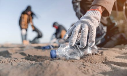 Unable to reduce waste: Recycling lags behind as plastic production grows exponentially worldwide