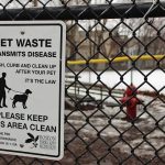 Poop and Parasites: How pet owners contribute to spreading disease by abandoning pet waste