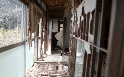In the shadow of silence: Exploring Fukushima’s abandoned lands that remain frozen in time