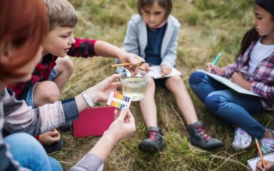Affirming Learning: How schools can utilize crucial summer months and make education more equitable