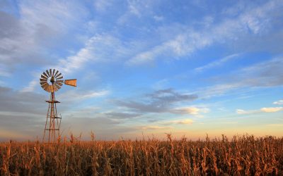 Justification of violence: How the rage of rural White Americans became a growing threat to democracy