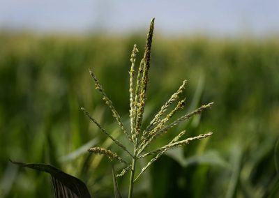 102824_AutonomousFarmTech_04c_CharlieNeibergall