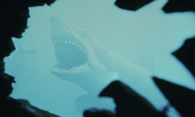 Jaws at 50: Trivia from the shark movie that made generations of swimmers afraid of the water