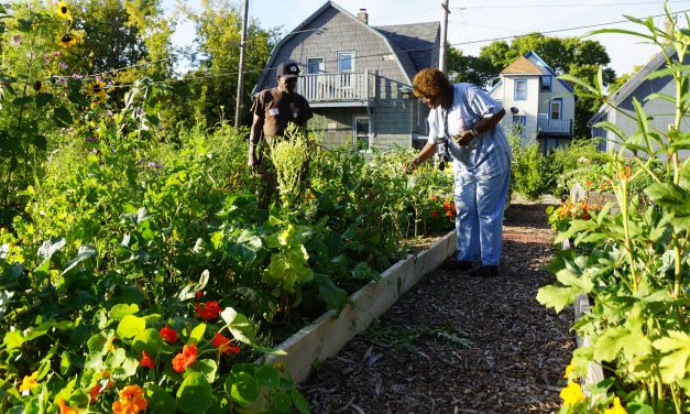 Milwaukee’s Urban Farming: How a Rust Belt City cultivated a grassroots idea into a national model