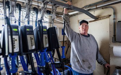 Wisconsin dairy farmer files lawsuit claiming Trump is failing to stop discrimination against White farmers