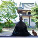 Rare bobtail cats are considered good luck in Japan and Nagasaki is overflowing with them