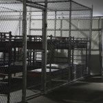 Trump celebrates gulag-like conditions for immigrant detainees during visit to “Alligator Alcatraz”