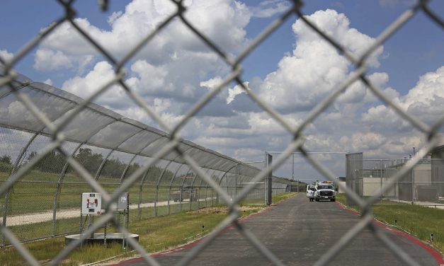Majority of Americans have come to view immigration as “a good thing” since Trump returned to power