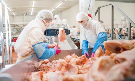 Cost of bacon: Once essential workers in meatpacking during COVID pandemic now face forced deportation