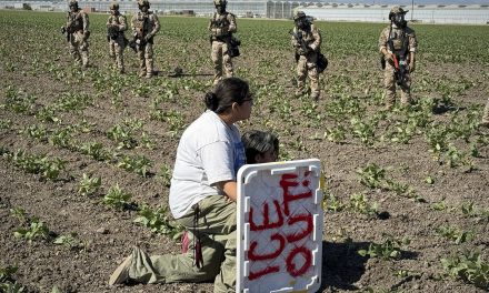 Preliminary data shows the U.S. labor force lost 1.2 million immigrant workers under Trump